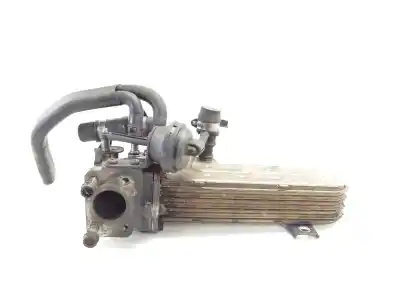 Pezzo di ricambio per auto di seconda mano RAFFREDDATORE EGR per SEAT LEON (1P1)  Riferimenti OEM IAM 03G131513J  