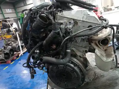 Pezzo di ricambio per auto di seconda mano motore completo per audi a4 berlina (8e) 2.0 20v cat (alt) riferimenti oem iam alt  