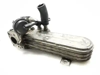 Pezzo di ricambio per auto di seconda mano Raffreddatore Egr per AUDI A3 (8P) 2.0 TDI Ambiente Riferimenti OEM IAM 03G131513J  