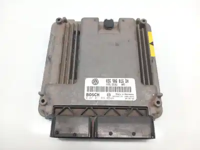 Peça sobressalente para automóvel em segunda mão centralina de motor uce por seat toledo iii (5p2) 1.9 tdi referências oem iam 03g906016dh