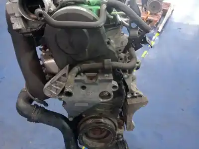 Pezzo di ricambio per auto di seconda mano motore completo per seat leon (1p1) 1.9 tdi riferimenti oem iam bxf  