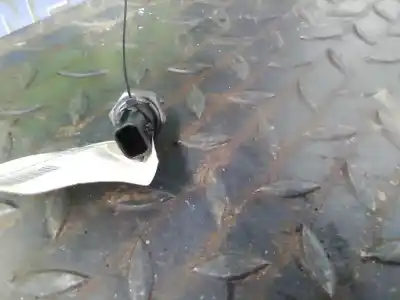 Second-hand car spare part sensor for dacia duster laureate 4x4 oem iam references 0152790  