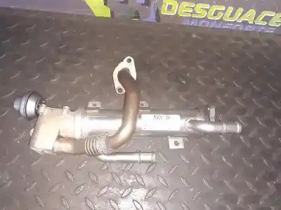 Peça sobressalente para automóvel em segunda mão RADIADOR DE GASES DE ESCAPE (EGR) por AUDI A4 BERLINA (8E)  Referências OEM IAM 03G131512AL  