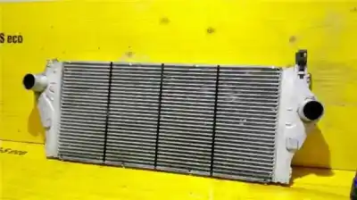 İkinci el araba yedek parçası intercooler için renault laguna ii (bg0) 1.9 dci diesel oem iam referansları 8200008761  