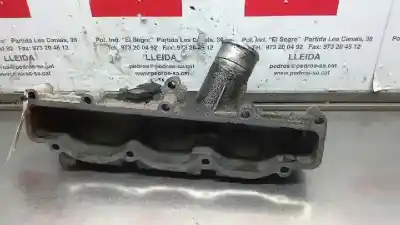 Автозапчастина б/у впускний колектор для fiat ducato caja abierta (desde 03.02) 2.3 jtd  batalla 2850 mm посилання на oem iam   