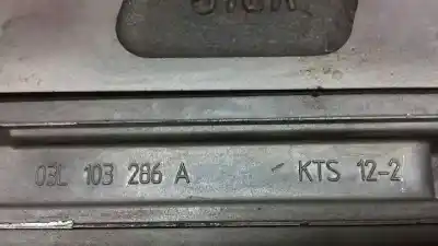 Peça sobressalente para automóvel em segunda mão cabeça / culatra por seat leon (1p1) reference referências oem iam 03l103265ax  