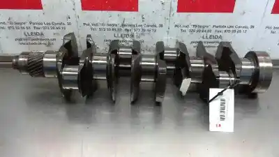 Peça sobressalente para automóvel em segunda mão Virabrequim por NISSAN PATROL (K/W260) Corto TB Referências OEM IAM   