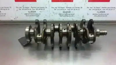 Peça sobressalente para automóvel em segunda mão virabrequim por seat leon (1m1) sport referências oem iam   