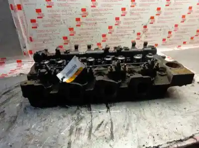 Peça sobressalente para automóvel em segunda mão Cabeça / Culatra por FORD TRANSIT, CAJA ABIERTA 1995 2.5 Diesel CAT Referências OEM IAM   