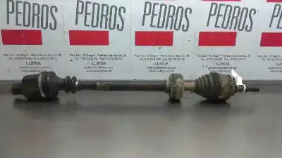 Pezzo di ricambio per auto di seconda mano Trasmissione Anteriore Destra per RENAULT SCENIC (JA..) 1.6 16V Authentique (JA0B/11) Riferimenti OEM IAM   