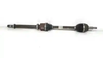 Tweedehands auto-onderdeel  voor RENAULT SCENIC III  OEM IAM-referenties 2200725504  