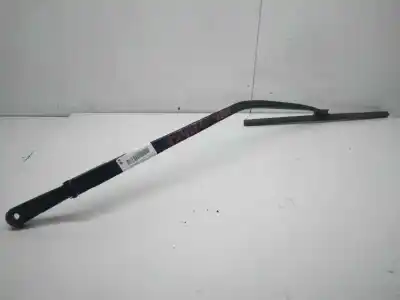 Pezzo di ricambio per auto di seconda mano braccio tergicristallo anteriore destro per nissan murano (z50) básico riferimenti oem iam 