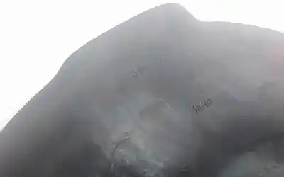 Автозапчасти б/у передняя левая кулачка за audi a6 avant (4f5) 2.8 fsi ссылки oem iam 4f9615311  