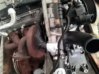 Pezzo di ricambio per auto di seconda mano motore completo per ford transit furgón (fa_ _) 2.4 tdci rwd riferimenti oem iam h9fb  