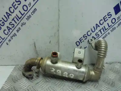 Автозапчасти б/у охладитель рог за FORD FOCUS BERLINA (CAP) 1.8 TDCi Turbodiesel CAT ссылки OEM IAM 4M5Q8F464BIC  