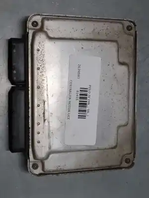 İkinci el araba yedek parçası ECU MOTOR KONTROL CIHAZI için VOLKSWAGEN POLO (9N_, 9A_) 1.9 TDI OEM IAM referansları 038906019JN  