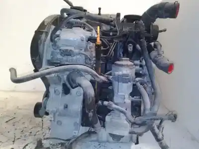 Peça sobressalente para automóvel em segunda mão motor completo por seat ibiza iii (6l1) 1.9 sdi referências oem iam   