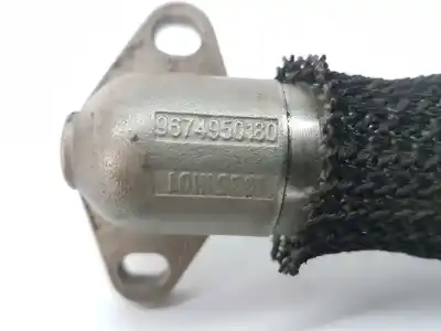 Peça sobressalente para automóvel em segunda mão tubo por ford c-max trend referências oem iam 1618rp  9674950180