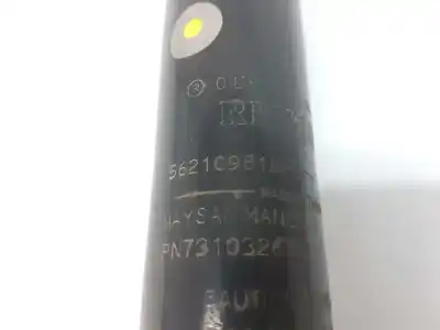 Pezzo di ricambio per auto di seconda mano ammortizzatore posteriore sinistro per renault clio iv business riferimenti oem iam 562109815r  pn7310326fc
