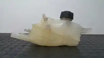 Piesă de schimb auto la mâna a doua vas de expansiune pentru renault scenic iii expression referințe oem iam 217100005r