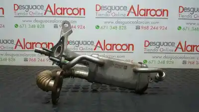İkinci el araba yedek parçası EGR SOGUTUCU için RENAULT KANGOO  OEM IAM referansları 147350364R  33500732A