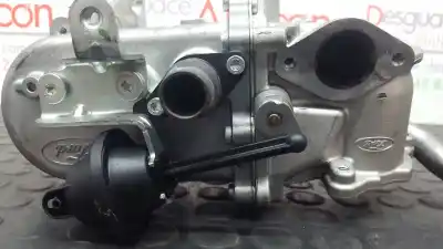 Pezzo di ricambio per auto di seconda mano raffreddatore egr per ford fiesta (ccn) trend riferimenti oem iam vpefmh19206ac  