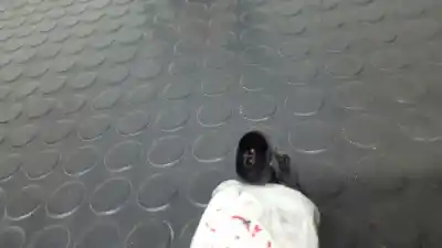 Peça sobressalente para automóvel em segunda mão sensor abs por seat leon (1p1) stylance / style referências oem iam 7h0927803  