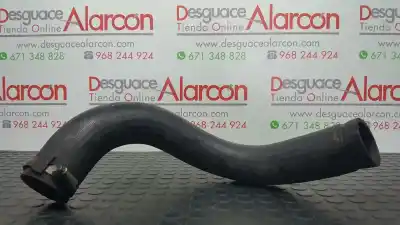 İkinci el araba yedek parçası TÜP için NISSAN NAVARA PICK-UP (D40M)  OEM IAM referansları 220808A  
