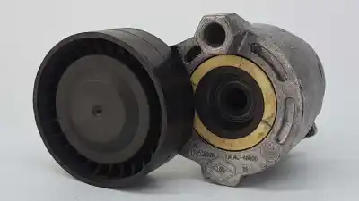 Recambio de automóvil de segunda mano de Tensor Correa Auxiliar para RENAULT MEGANE III SPORT TOURER Business referencias OEM IAM 117503662R  