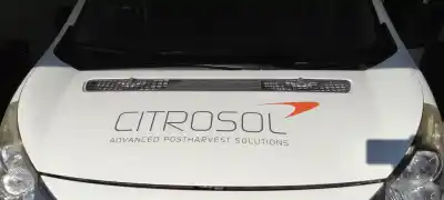 Pezzo di ricambio per auto di seconda mano cofano per citroen jumpy hdi 125 fap multispace business l riferimenti oem iam 7901n1