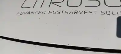 Pezzo di ricambio per auto di seconda mano cofano per citroen jumpy hdi 125 fap multispace business l riferimenti oem iam 7901n1  1608371780