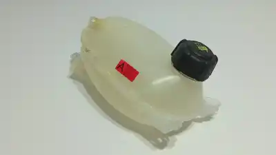 Pezzo di ricambio per auto di seconda mano Cauzione Di Espansione per RENAULT EXPRESS VAN Riferimenti OEM IAM 217101878R  