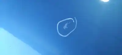 Peça sobressalente para automóvel em segunda mão capot por renault scenic iii dynamique referências oem iam 651008369r  