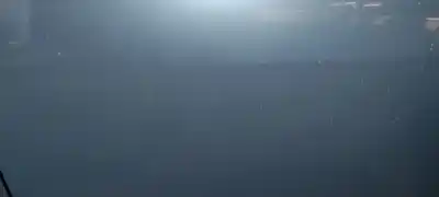 Peça sobressalente para automóvel em segunda mão porta da frente esquerda por renault scenic iii grand dynamique referências oem iam 801013881r  801014883r