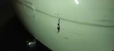 Peça sobressalente para automóvel em segunda mão para choques traseiro por bmw mini (r56) cooper referências oem iam 51122755691  