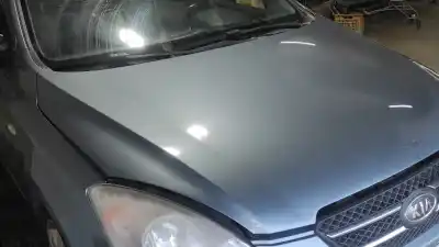 Pezzo di ricambio per auto di seconda mano cofano per kia cee´d active riferimenti oem iam 664001h000  