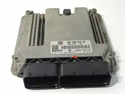 Pezzo di ricambio per auto di seconda mano centralina motore per seat altea (5p1) reference riferimenti oem iam 03g906016hc