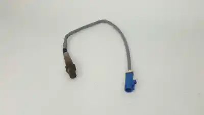 Pezzo di ricambio per auto di seconda mano sonda lambda per ford focus berlina (cap) trend riferimenti oem iam 1536254