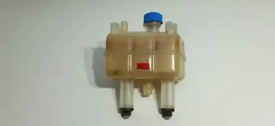 Peça sobressalente para automóvel em segunda mão DEPÓSITO DE EXPANSÃO por FIAT DUCATO AUTOBÚS (250_) 130 MULTIJET 2,3 D Referências OEM IAM 1399839080  