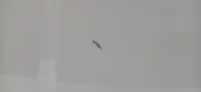 Peça sobressalente para automóvel em segunda mão capot por opel mokka color edition referências oem iam   