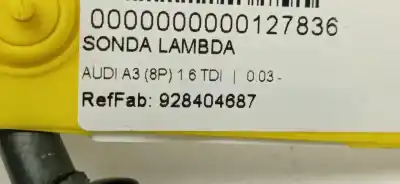 Peça sobressalente para automóvel em segunda mão sonda lambda por audi a3 (8p) 1.6 tdi referências oem iam 928404687 928404687 928404687