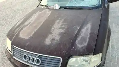 Pezzo di ricambio per auto di seconda mano cofano per audi a6 berlina (4b2) 1.9 tdi riferimenti oem iam 