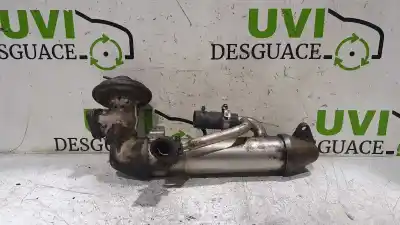 Pezzo di ricambio per auto di seconda mano raffreddatore egr per ford mondeo berlina (ge) ghia riferimenti oem iam 1c1q9f464ad