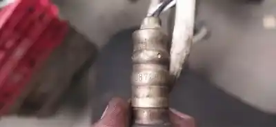 İkinci el araba yedek parçası lambda probu için mini mini (r50,r53) 1.6 16v cat oem iam referansları 0872674l  