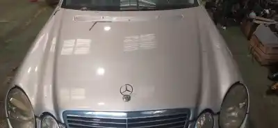 Peça sobressalente para automóvel em segunda mão capot por ford focus lim. (cb4) 1.8 tdci turbodiesel cat referências oem iam   