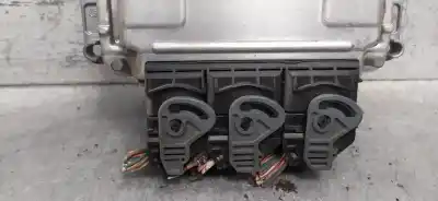 Pezzo di ricambio per auto di seconda mano centralina motore per renault scenic rx4 (ja0) 1.9 dci sportway riferimenti oem iam 8200039569  0281010819