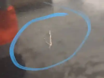 Автозапчасти б/у дверь задняя правая за lexus gs (gs/us/ws19) 300 ссылки oem iam 6700330620  