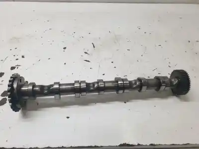 Pezzo di ricambio per auto di seconda mano Albero A Camme per AUDI A6 C6 (4F2) 3.0 TDI QUATTRO Riferimenti OEM IAM 059109009BK  