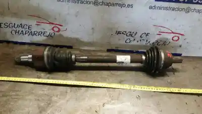 Peça sobressalente para automóvel em segunda mão transmissão dianteira esquerda por ford focus berlina (cap) ambiente (d) referências oem iam 