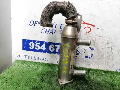 Pezzo di ricambio per auto di seconda mano raffreddatore egr per citroen c6 básico riferimenti oem iam 4u3q9y493bj